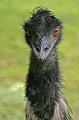 Zoo Schmiding 026